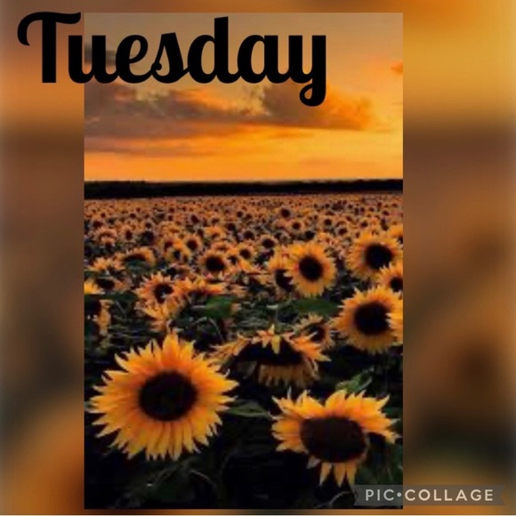 Header Other - ⭐️TUESDAY SHARE GROUPS⭐️